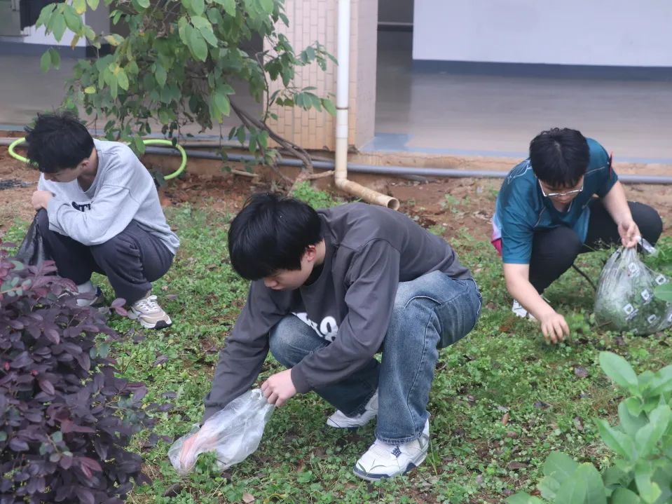 BTE365所有网址