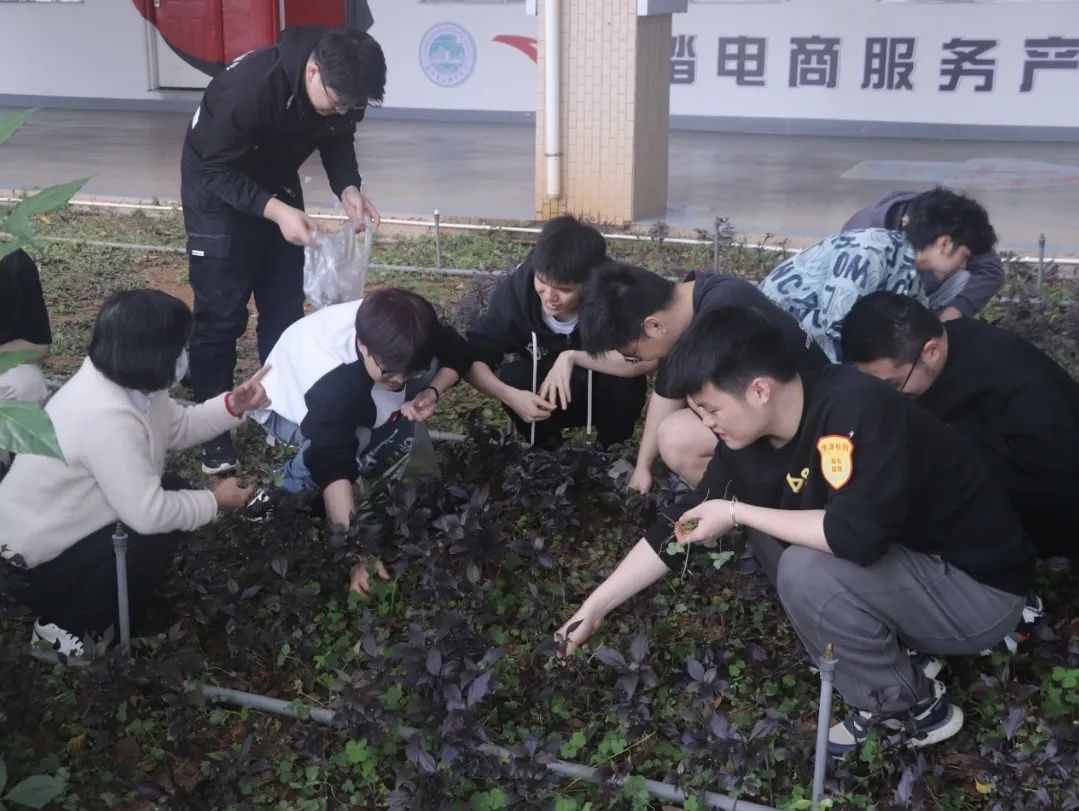 BTE365所有网址