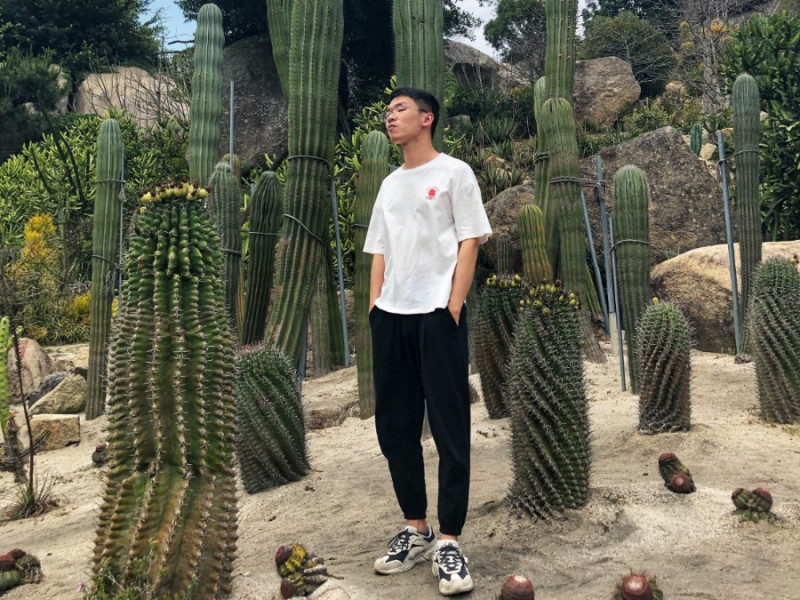 BTE365所有网址
