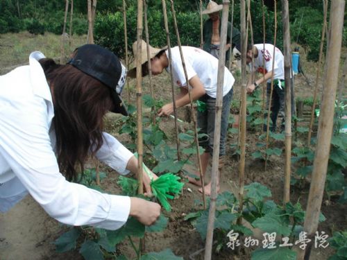 BTE365所有网址