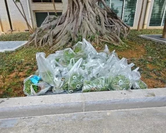 BTE365所有网址