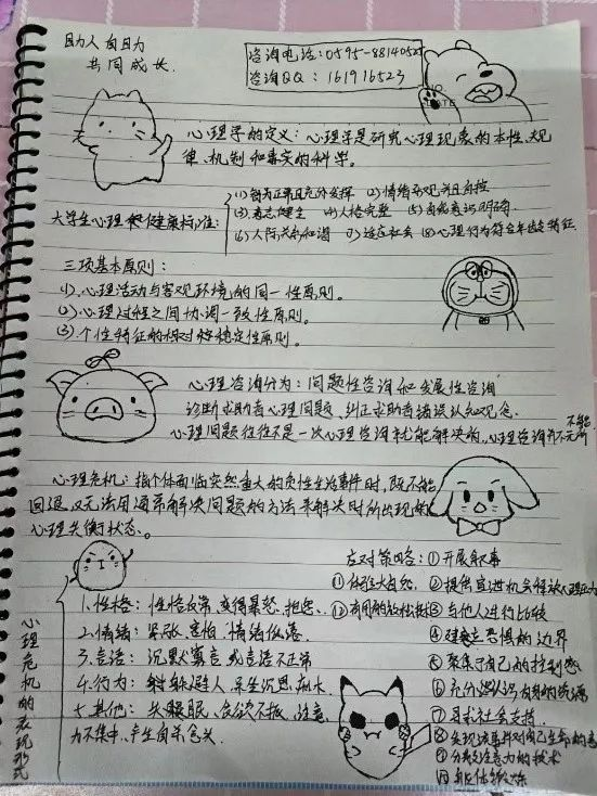图片 8.png