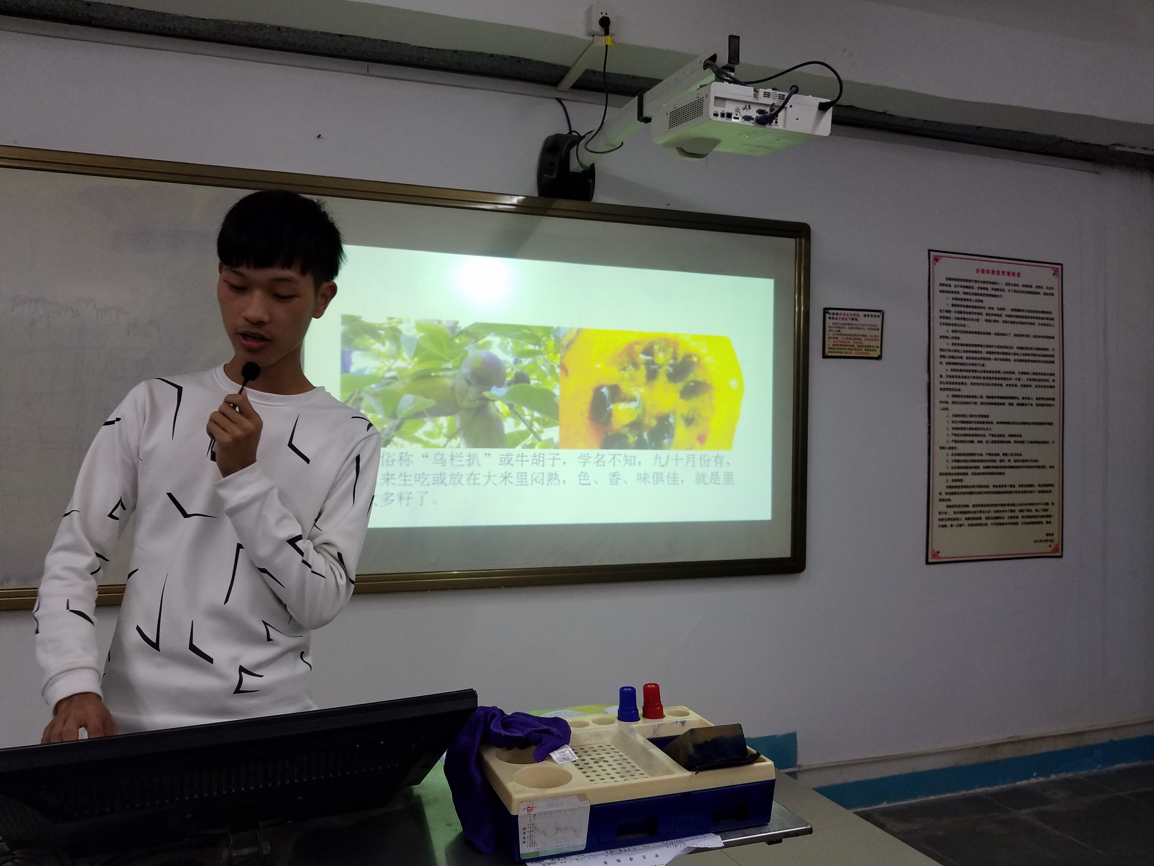 BTE365所有网址