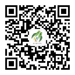 BTE365所有网址