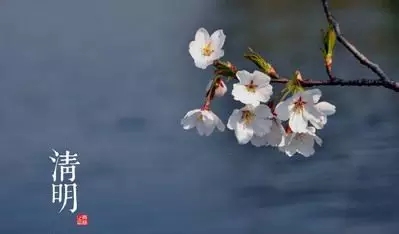 BTE365所有网址