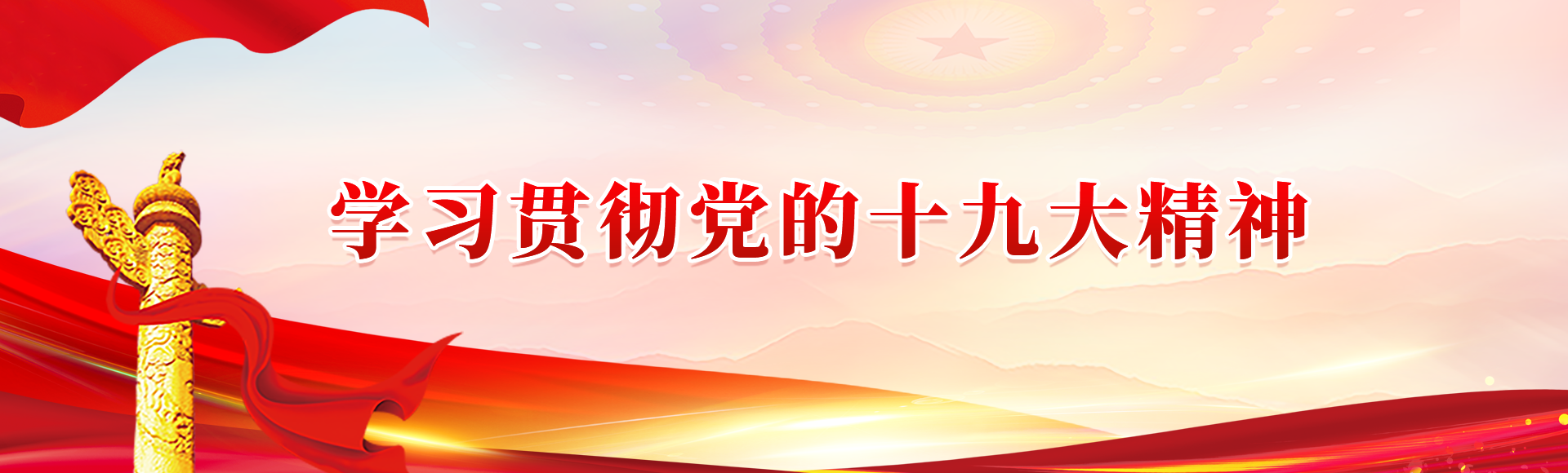 学习贯彻党的十九大精神