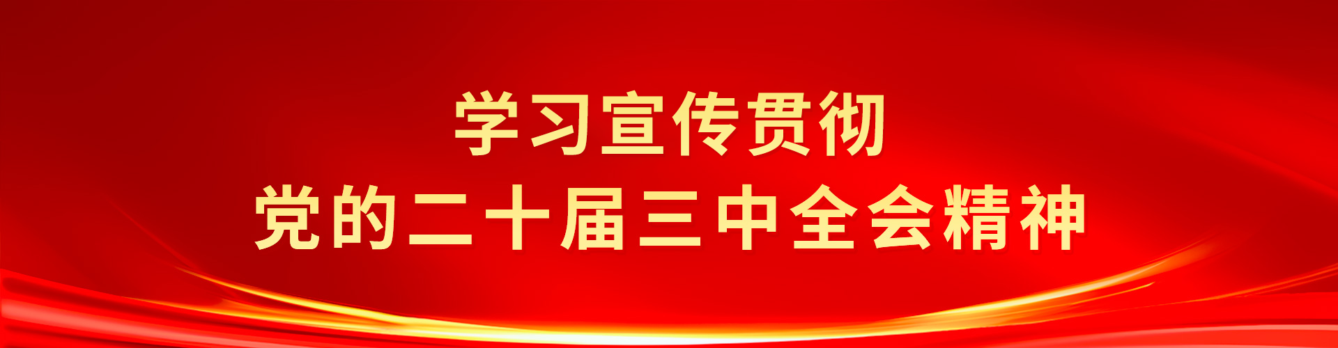 学习宣传贯彻党的二十届三中全会精神