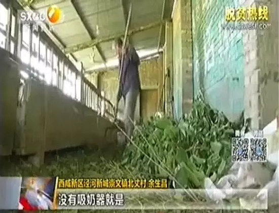 640.webp.jpg 640.webp.jpg