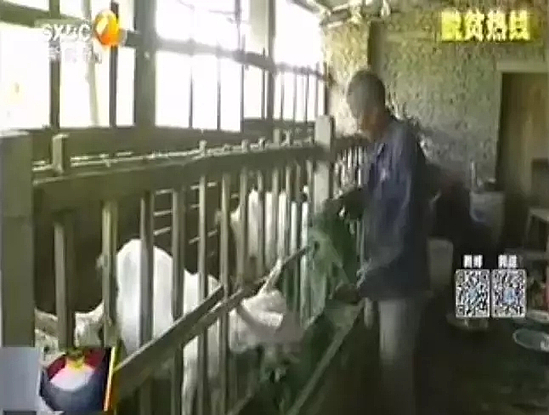 640.webp.jpg 640.webp.jpg