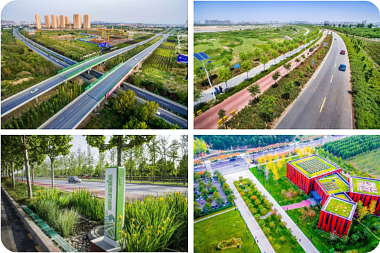 1559807985(1).jpg 1559807985(1).jpg