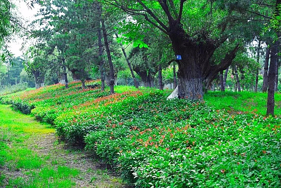 微信图片_20190319101007.jpg 微信图片_20190319101007.jpg