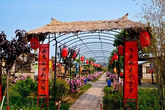 微信图片_20181228104636.jpg 微信图片_20181228104636.jpg