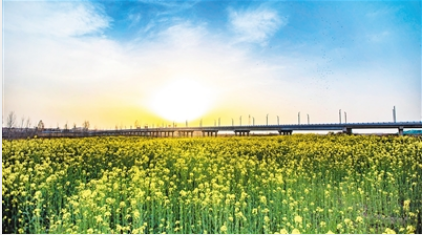 微信图片_20200408094157.png 微信图片_20200408094157.png