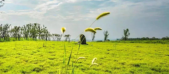 微信图片_20190430175701.jpg 微信图片_20190430175701.jpg