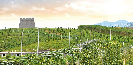 微信图片_20190430175707.jpg 微信图片_20190430175707.jpg