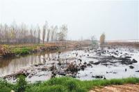 却看渭河舞翩跹