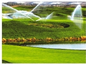 res11_attpic_brief.jpg res11_attpic_brief.jpg