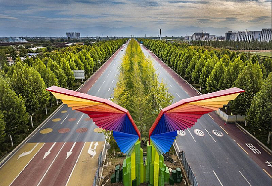 1123726104_15423651764761n.jpg 1123726104_15423651764761n.jpg