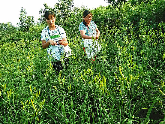 微信图片_20200622092146.jpg 微信图片_20200622092146.jpg