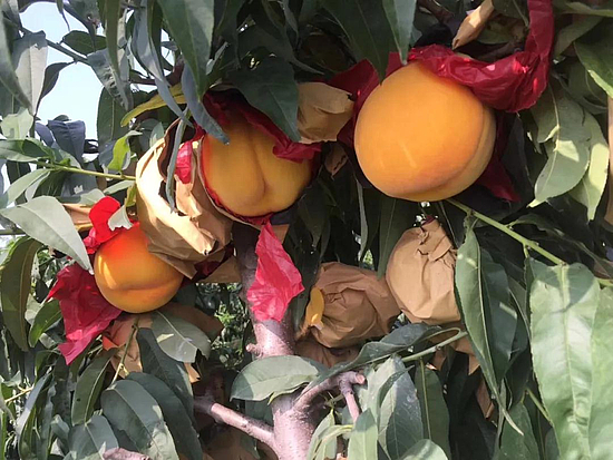 微信图片_20200622093158.jpg 微信图片_20200622093158.jpg