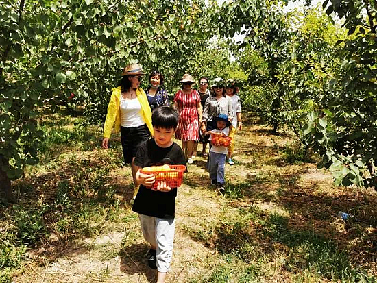 微信图片_20200622093430.jpg 微信图片_20200622093430.jpg