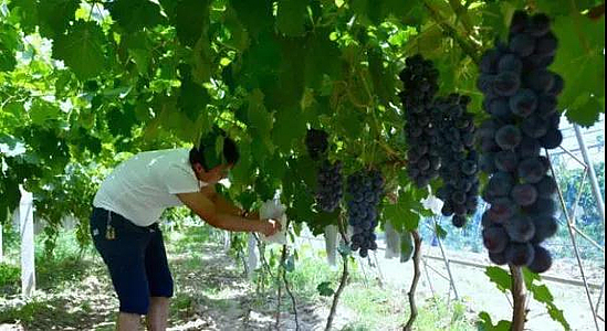 微信图片_20200622093331.jpg 微信图片_20200622093331.jpg