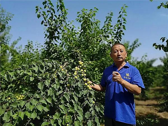 微信图片_20200622093115.jpg 微信图片_20200622093115.jpg