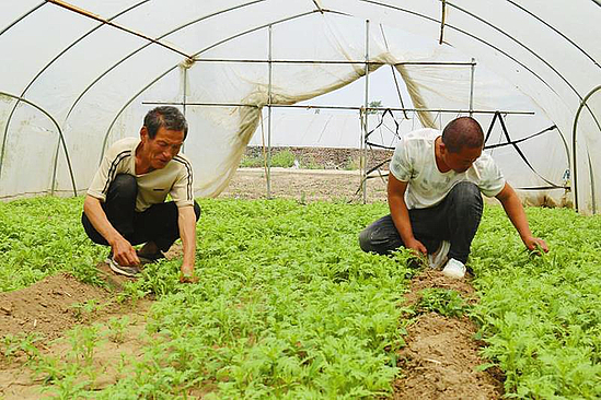 微信图片_20200615092631.jpg 微信图片_20200615092631.jpg