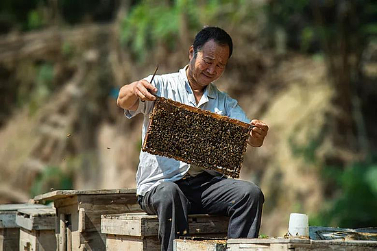 微信图片_20191213142656.jpg 微信图片_20191213142656.jpg