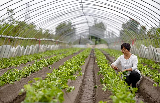 微信图片_20191213142806.jpg 微信图片_20191213142806.jpg