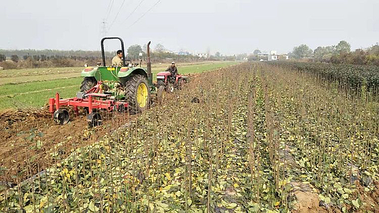 微信图片_20191125150804.jpg 微信图片_20191125150804.jpg