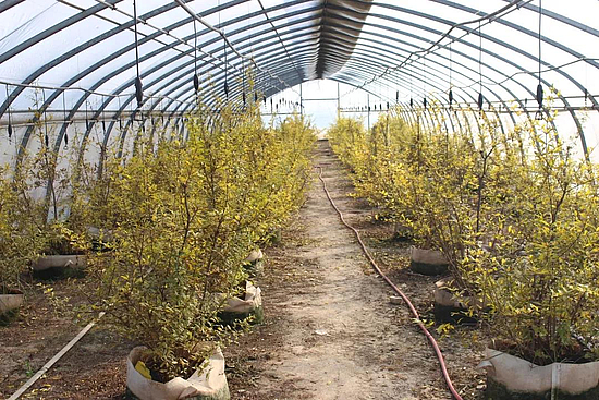 微信图片_20191119155054.jpg 微信图片_20191119155054.jpg