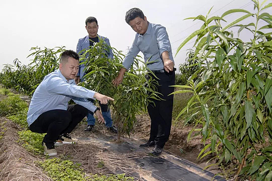 微信图片_20191030102902.jpg 微信图片_20191030102902.jpg