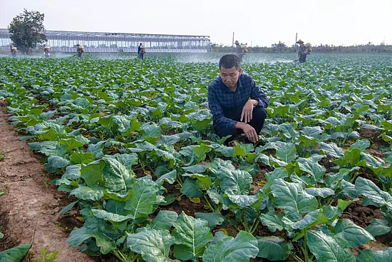 微信图片_20191030102836.jpg 微信图片_20191030102836.jpg