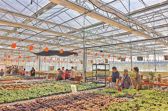 微信图片_20191025094359.jpg 微信图片_20191025094359.jpg