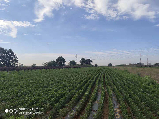 微信图片_20191017112903.jpg 微信图片_20191017112903.jpg