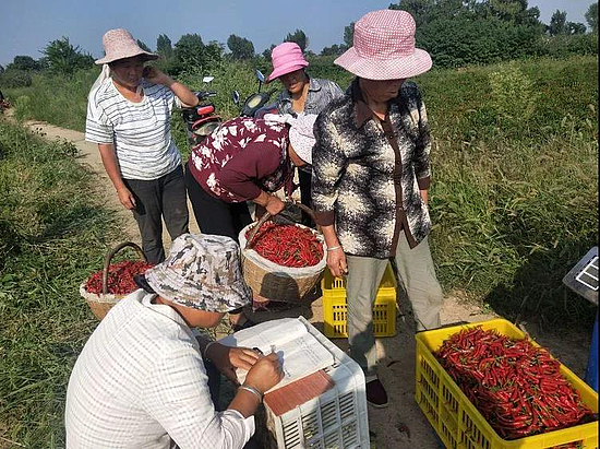 微信图片_20191008144215.jpg 微信图片_20191008144215.jpg