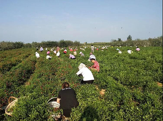 微信图片_20191008144154.jpg 微信图片_20191008144154.jpg