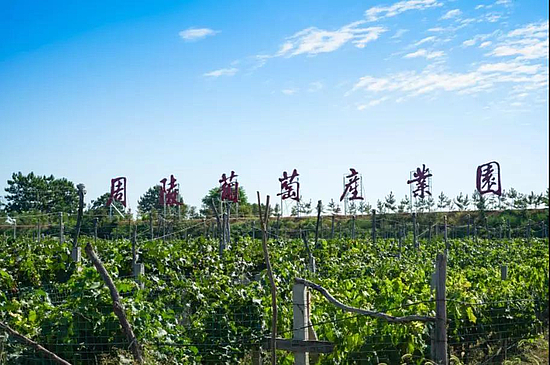 微信图片_20190826163619.jpg 微信图片_20190826163619.jpg