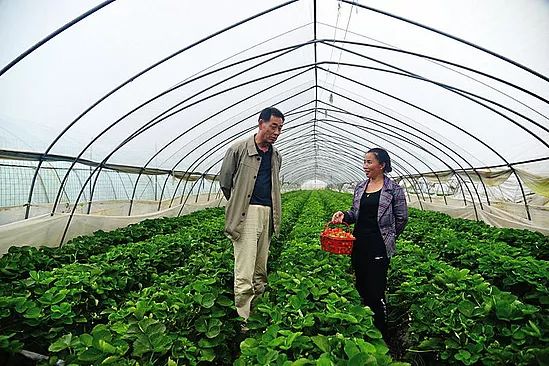 微信图片_20190711105349.jpg 微信图片_20190711105349.jpg