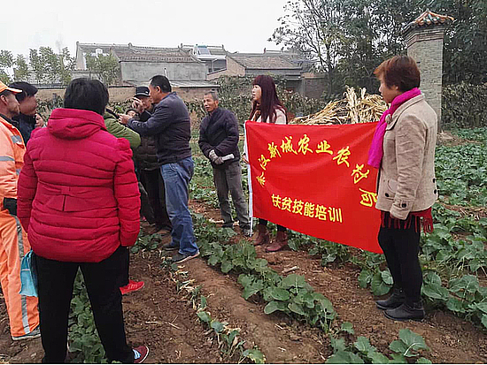 201901239smpzdxwd3.jpg 201901239smpzdxwd3.jpg