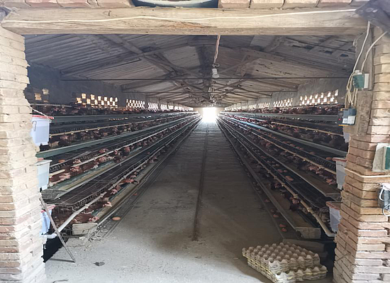 图片2.png 图片2.png