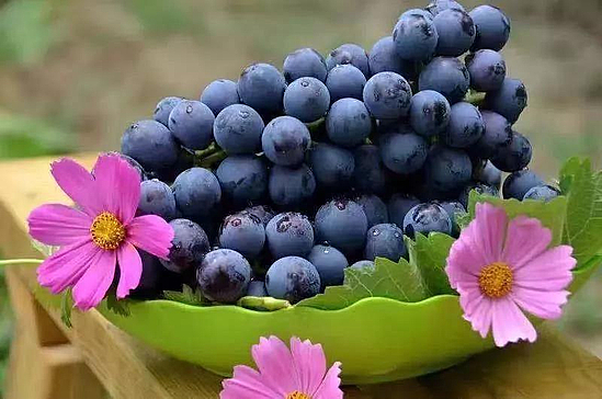 微信图片_20191031110746.jpg 微信图片_20191031110746.jpg