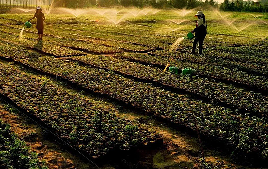 微信图片_20191031110728.jpg 微信图片_20191031110728.jpg