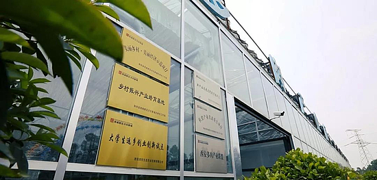 微信图片_20191031112952.jpg 微信图片_20191031112952.jpg