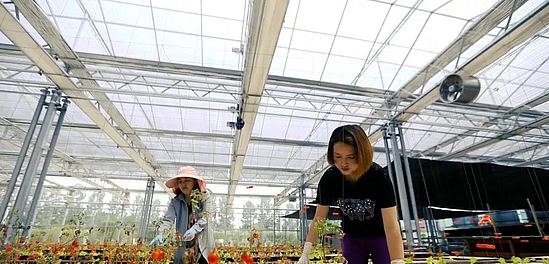 微信图片_20191031112954.jpg 微信图片_20191031112954.jpg