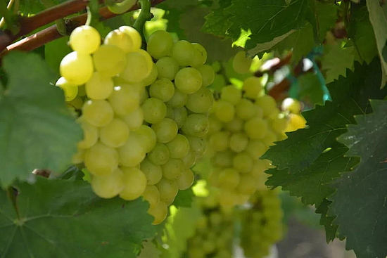 微信图片_20190830120839.jpg 微信图片_20190830120839.jpg