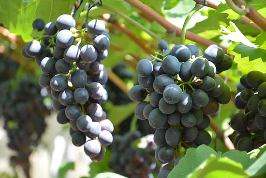 微信图片_20190830120833.jpg 微信图片_20190830120833.jpg