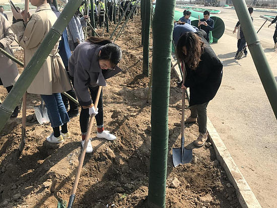 图片2.jpg 图片2.jpg