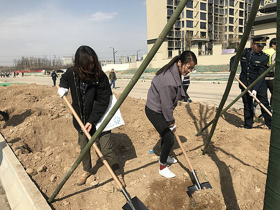 图片1.jpg 图片1.jpg